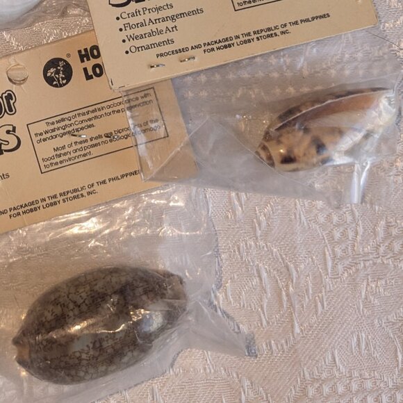 4 Shell Necklaces and 9 Craft Shell Bundles - Picture 9 of 10